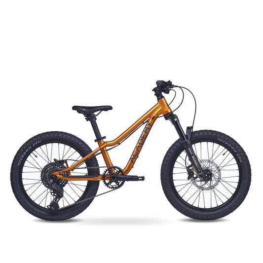 ACADEMY Trail 4 - Vélo enfant 20 pouces
