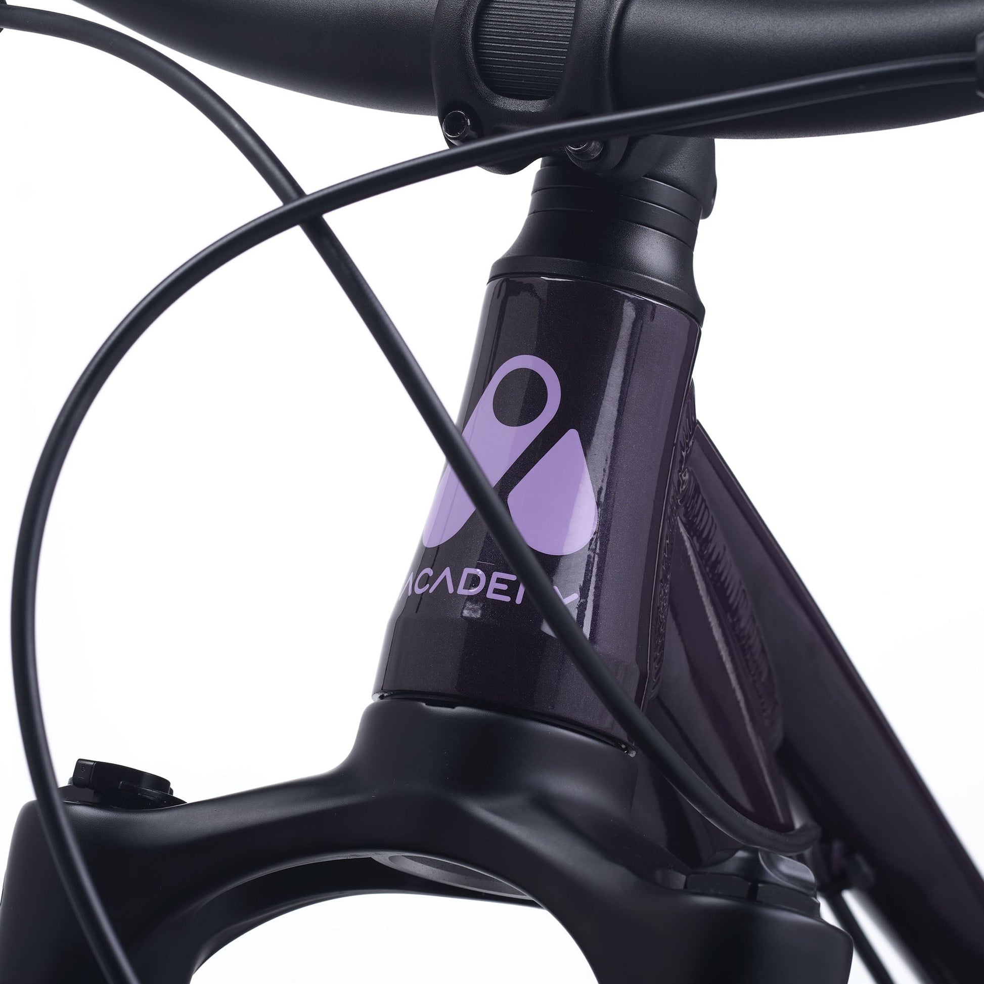 Dark Purple