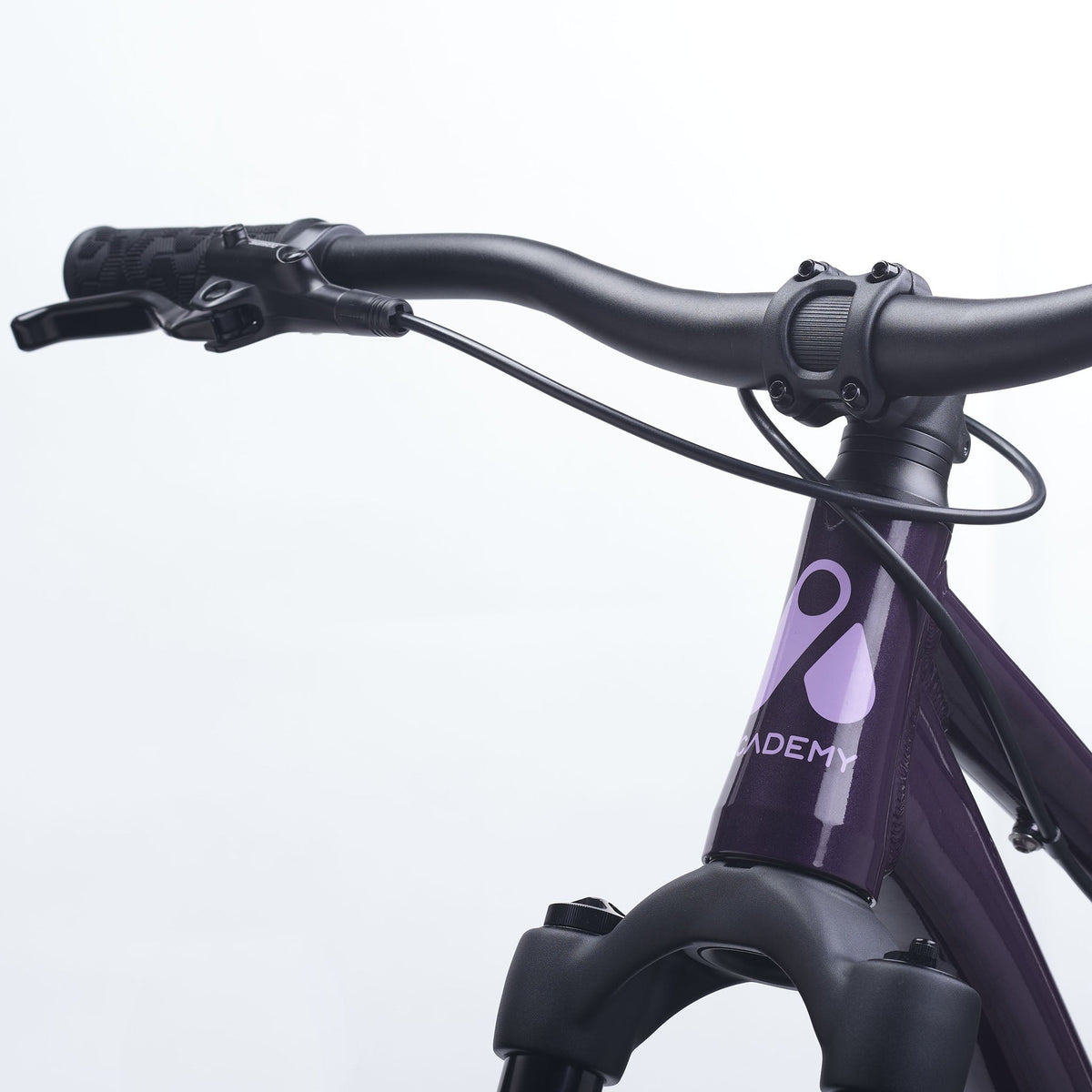 dark purple